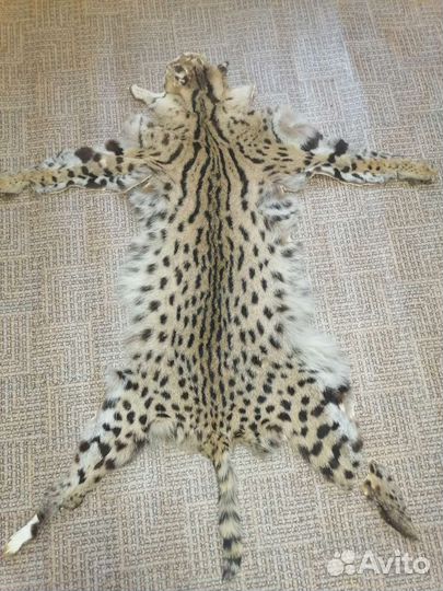 Шкура рыси имитация