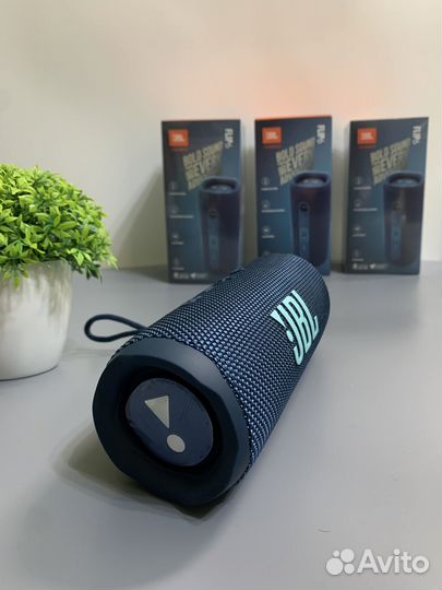 Колонка JBL Flip 6
