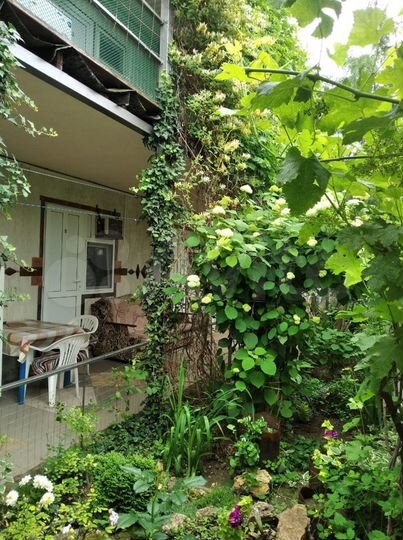 Комната 15 м² в > 9-к., 1/2 эт.