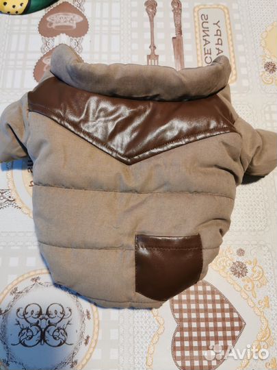 Одежда для маленьких собак