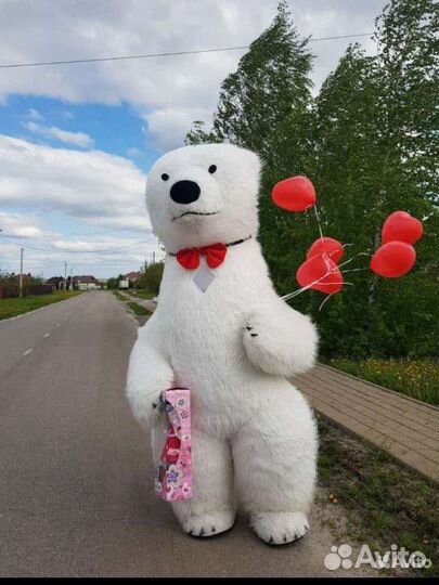 Мишка Белый