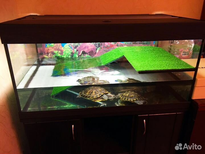 Аквариум для черепахи