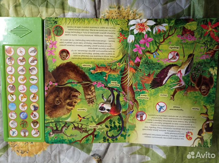 Развивающая книга