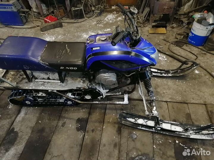 Динго т125