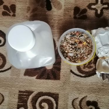 Клетка для грызунов бу
