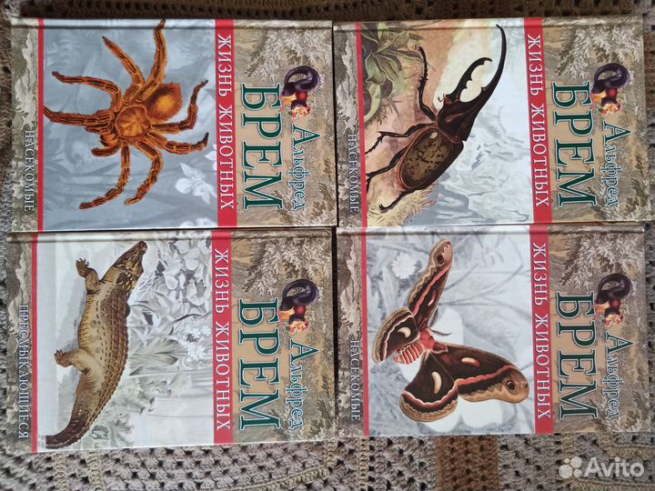 Книги А. Брэм