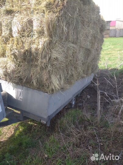 Сено в тюках с бесплатной доставкой