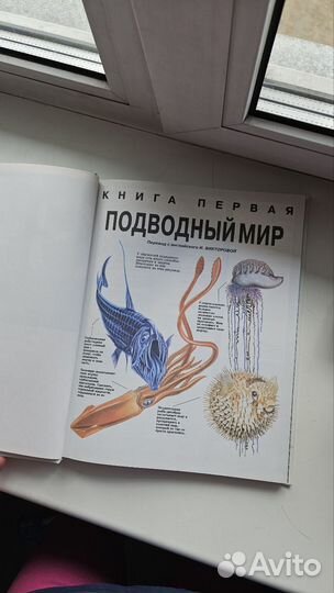 Детская энциклопедия Жизнь