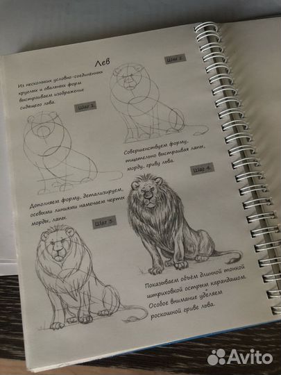 Книга по рисованию эскизов животных