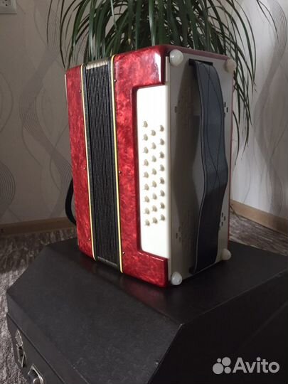 Гармонь Нарач-2