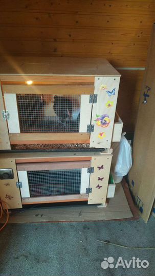 Для цыплят брудер