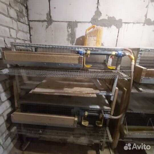 Клетки для перепелов бу