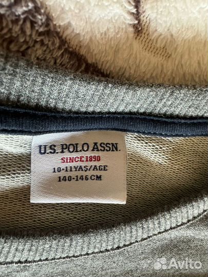 Свитшот uspa
