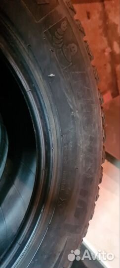 Michelin Agilis X-Ice North 225/55 R17 101T