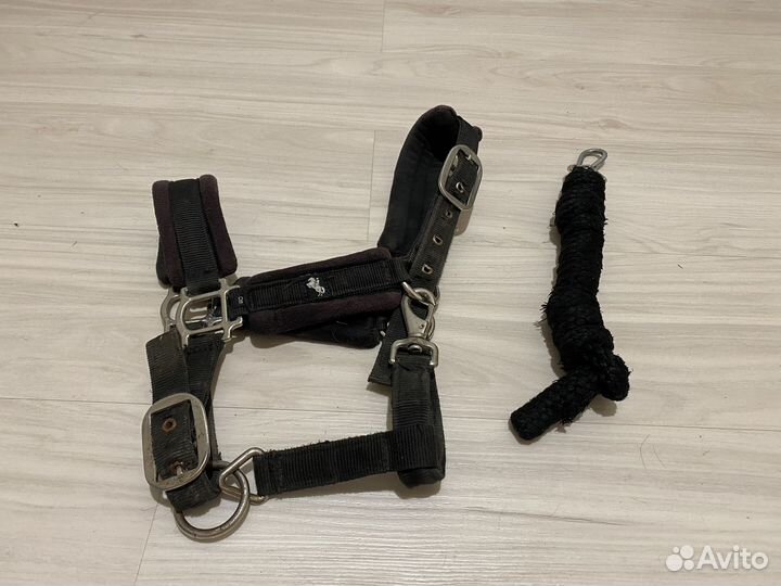 Недоуздок для лошади