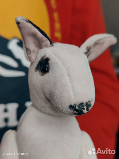 Бультерьер