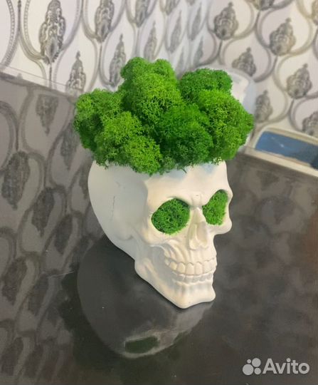 Декоративные цветы