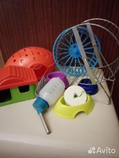 Принадлежности для грызунов