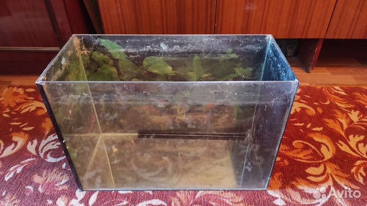 Аквариум