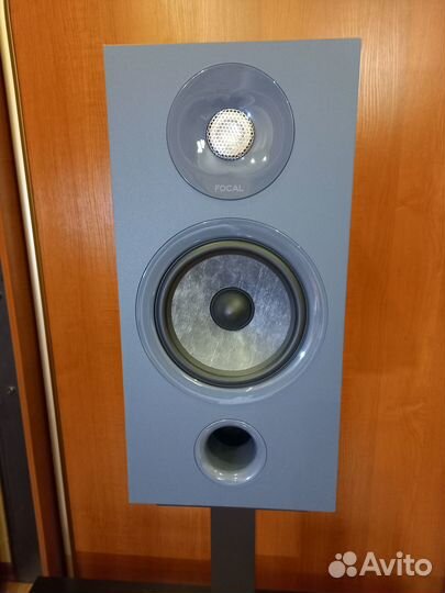 Focal chora 806