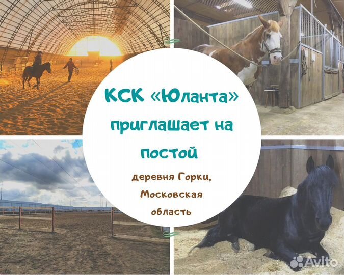 Постой лошадей (Москва, м.Домодедовская)