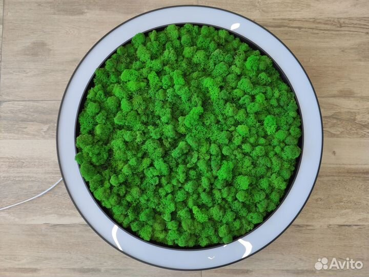 Люстра LED кольцевая потолочная со мхом Ягель