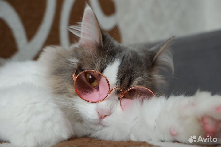 В самые заботливые добрые любящие руки