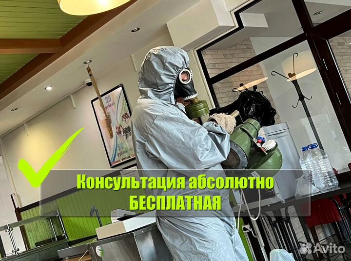 Уничтожение клопов, тараканов, клещей, ос, комаров