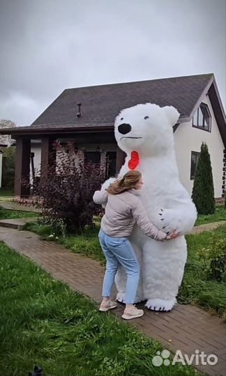 Белый мишка поздравление