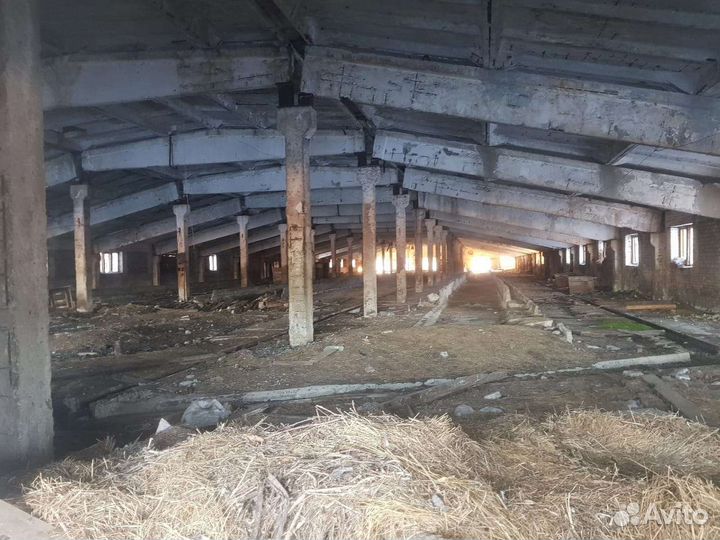 Животноводческая ферма продаю