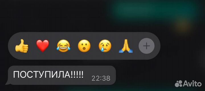 Репетитор по русскому языку и литературе