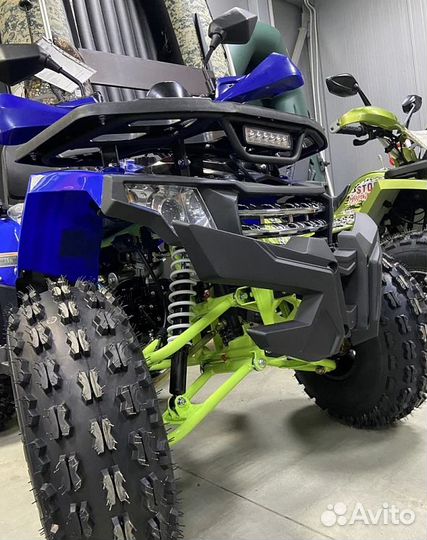 Квадроцикл promax wild 2.0 190 PRO (2025)