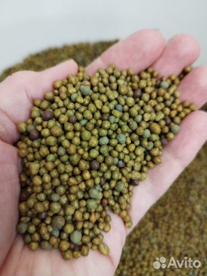 Osmocote Exact standard 5-6