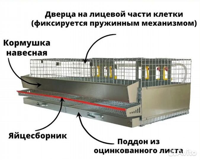 Брудер и Клетки для перепелов и цыплят