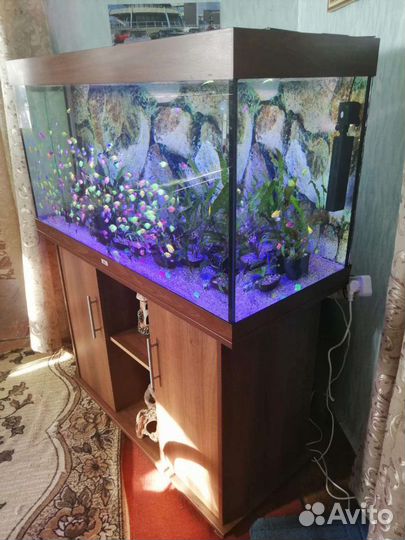 Аквариум
