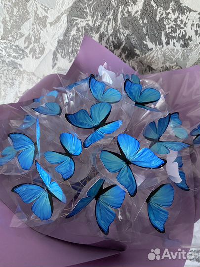 Букет из бабочек