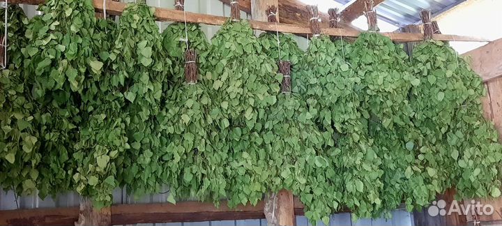 Банные веники берёзовые