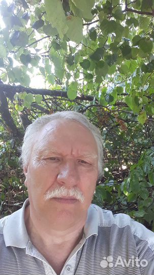 Начальник участка,прораб