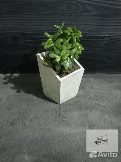 Кашпо, Вазоны, горшки для цветов