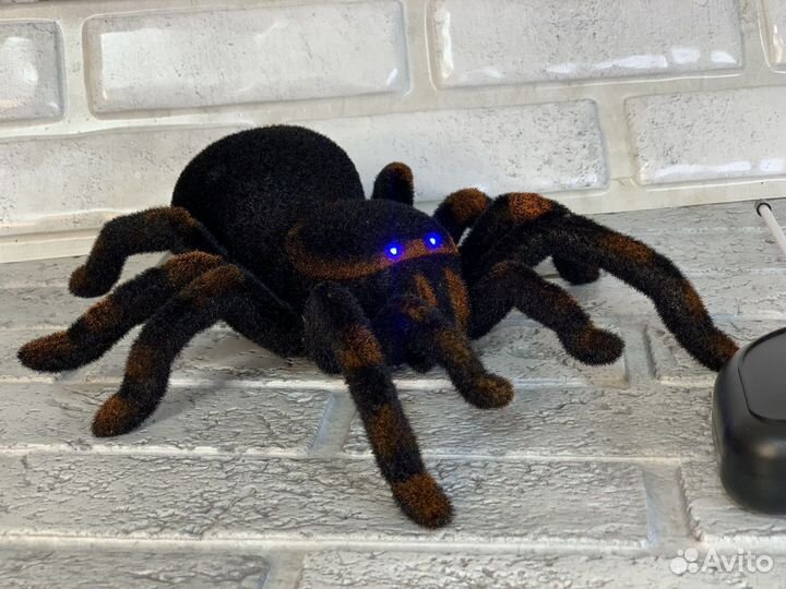 Паук на радиоуправлении