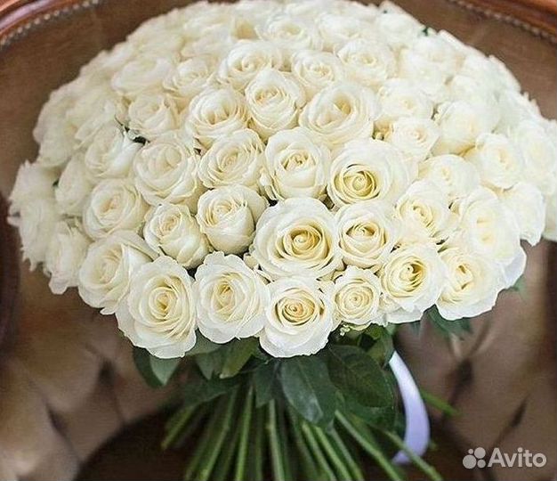 Метровые розы Доставка цветов