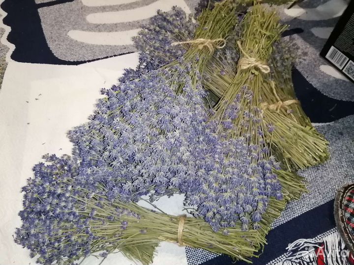 Лаванда букеты сухоцветов (синяя и сине-белая)