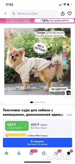 Худи для собак