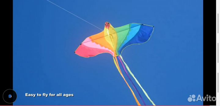 Воздушный змей 1,6/3.0м длинный шлейф(в ассорт.)