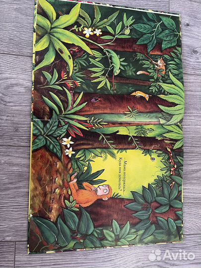 Книга «Хочу к маме»