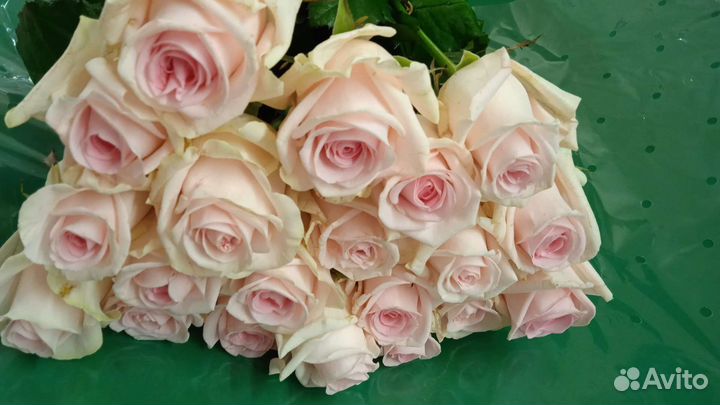 Розы. Букет из роз