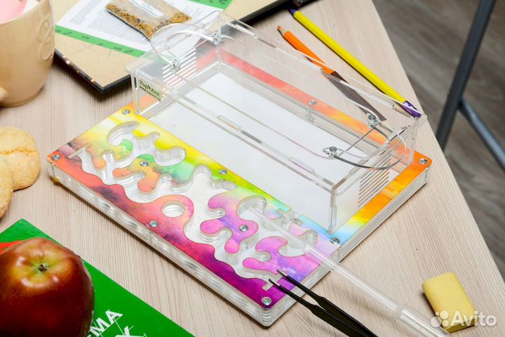 Ферма с муравьями / Формикарий