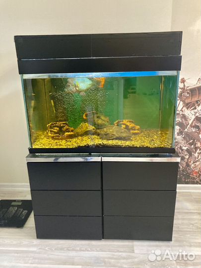 Аквариум с рыбками