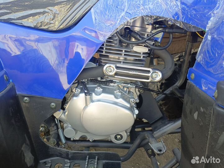 Motax 250