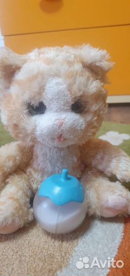 Интерактивный котенок